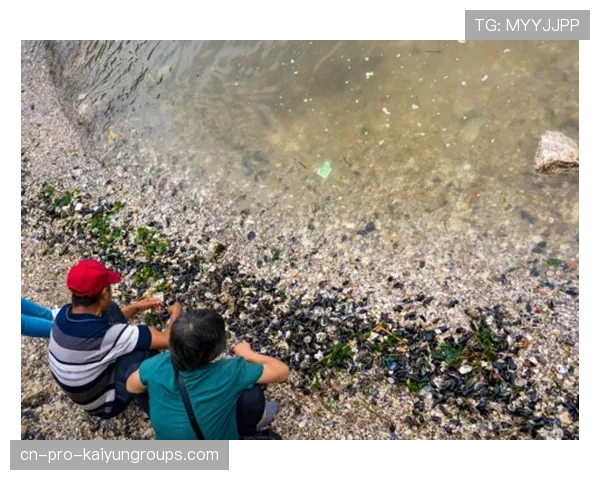 台风过后惠州海滩刷屏,海鲜大丰收!,惠州的台风要什么时候来什么时候走